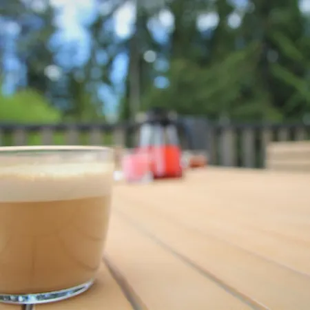 Demian Domek alpejski Dolina Demianowska