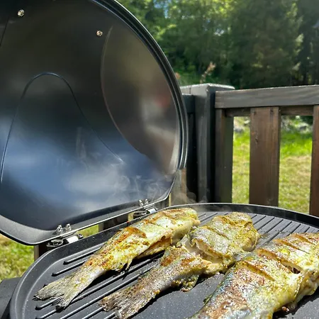 Demian 샬레 데마노브스카돌리나