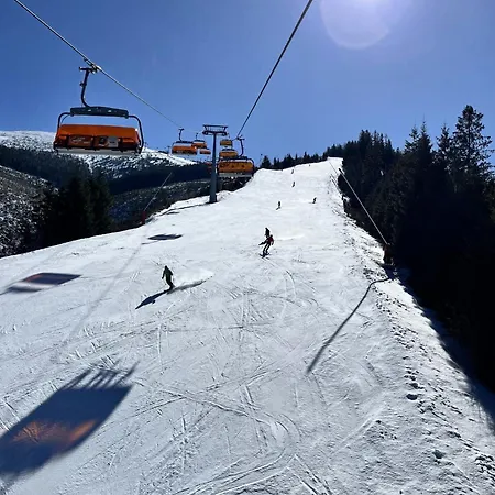 Demian 데마노브스카돌리나