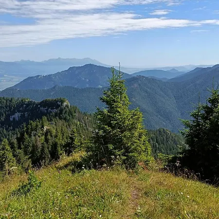 Demian Domek alpejski *