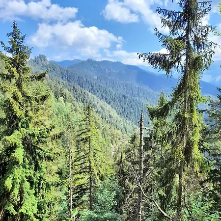 Demian Domek alpejski Dolina Demianowska