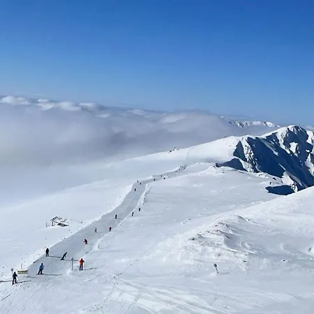 Domek alpejski Demian Dolina Demianowska