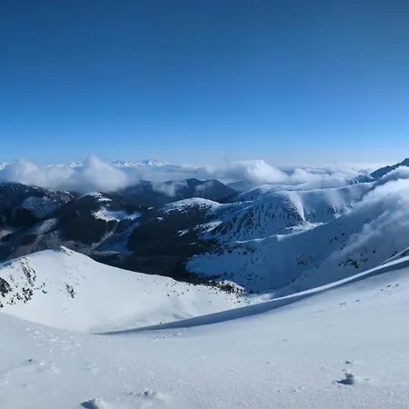 Demian Domek alpejski *