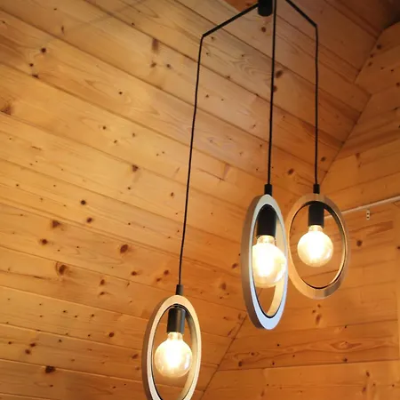 Demian 샬레 데마노브스카돌리나