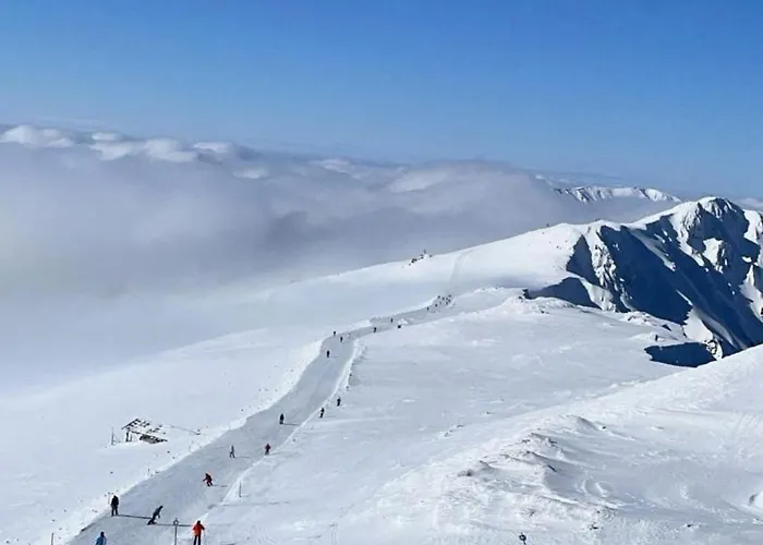 Chalet Demian Demänovská Dolina